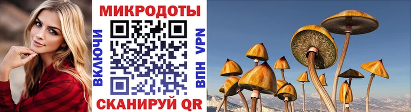 где можно купить наркотик  Дрезна  Псилоцибиновые грибы Magic Shrooms 